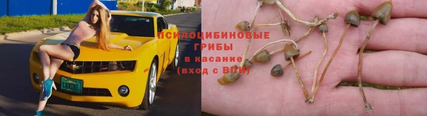 винт Вязники