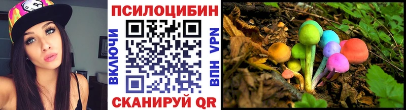 Галлюциногенные грибы Psilocybe мега ONION площадка формула Липецк